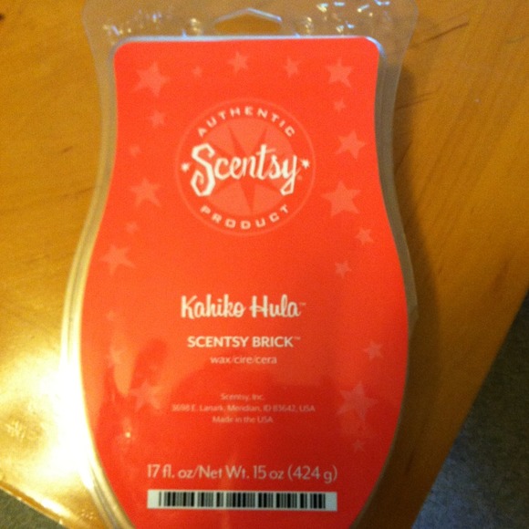 Scentsy brick!