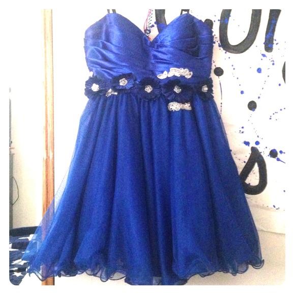 Royal Blue Dress by Stacy Sklar