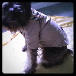 Dog Jacket (size M)