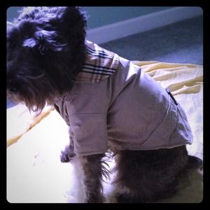 Dog jacket (Size XXS)