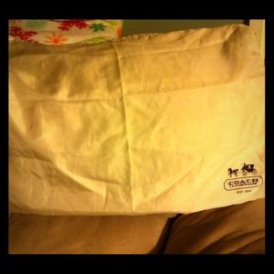 Large Coach dust bag