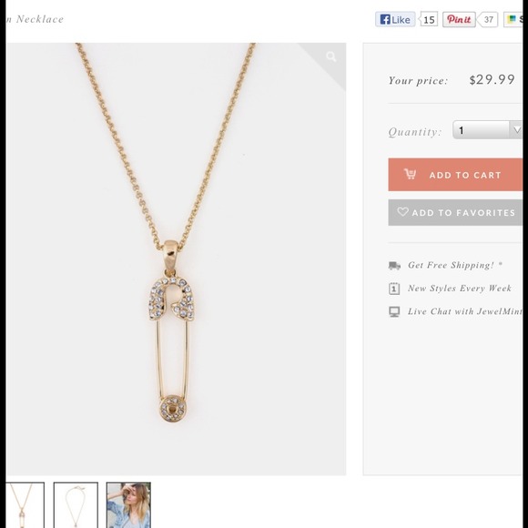 REDUCED*jewelmint by CC Skye pin necklace