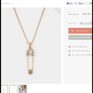 REDUCED*jewelmint by CC Skye pin necklace