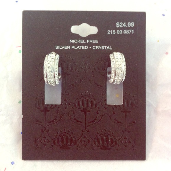 Small Crystal Covered Hoop Earrings