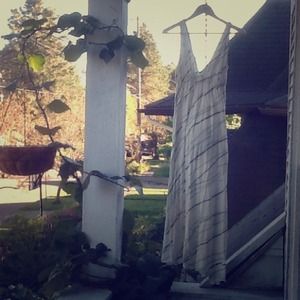 Alternative Apparel Sun Dress