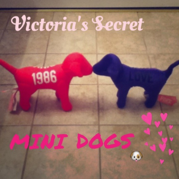 VS dog bundle!