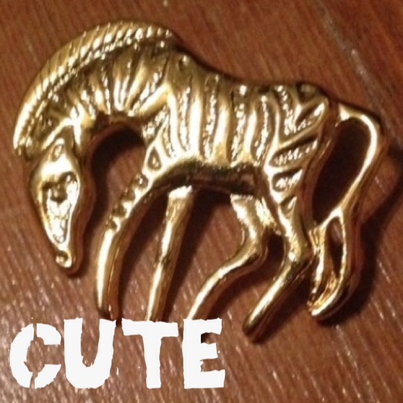 Zebra Brooch