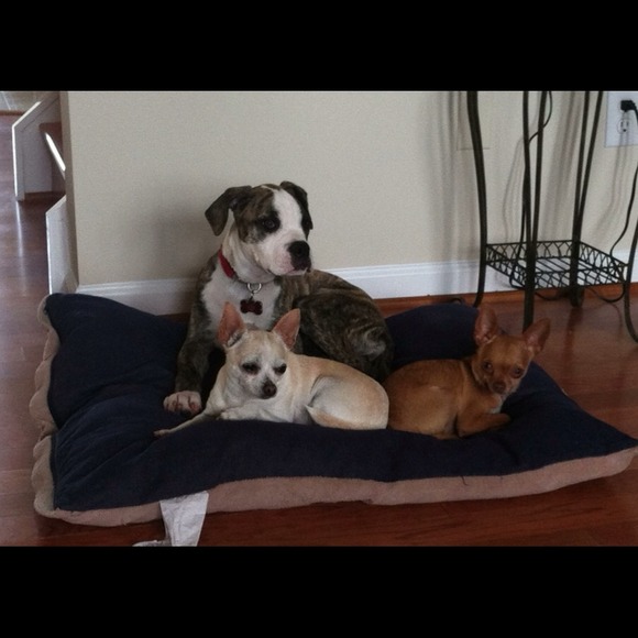 Meet Ur Seller/Buyer! Working hard to find u deals - Picture 2 of 5