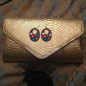 Clutch and earrings