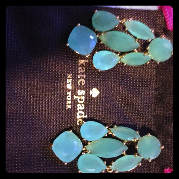 Earrings ! - Picture 1 of 3