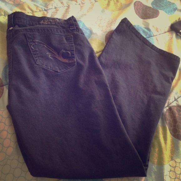 Black Pants