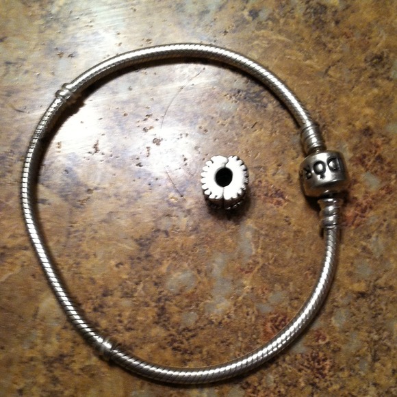 Bracelet and clip