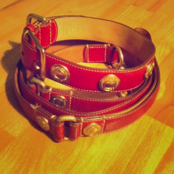 Authentic coach collar and leash