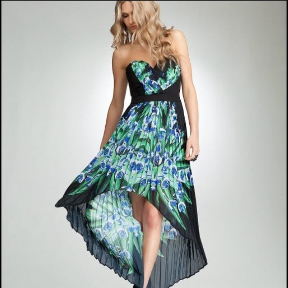Looking for! Want!