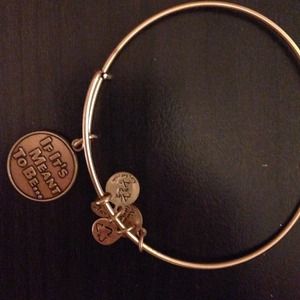 Alex and Ani