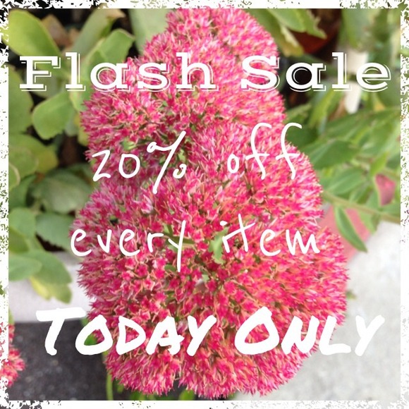 ⚡️FLASH SALE⚡️