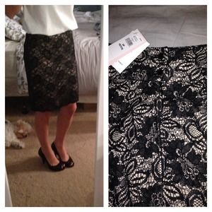 Sexy and Feminine Lace and Nude Skirt