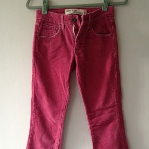 Levi's Bootcut Corduroy Pants in Bright Mauve