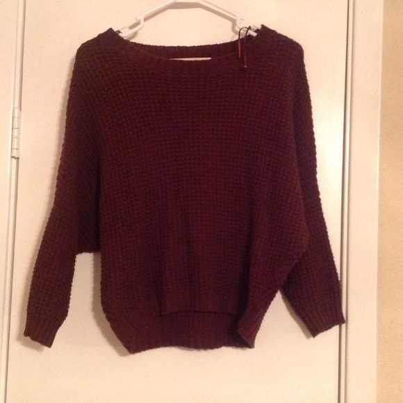 Brown Zara Knit Sweater