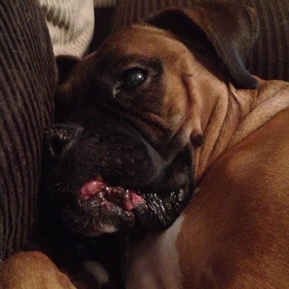 Beach pedicure flip flops **Sam's pick** size s-m - Picture 3 of 3