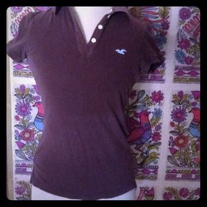 brown hollister polo!