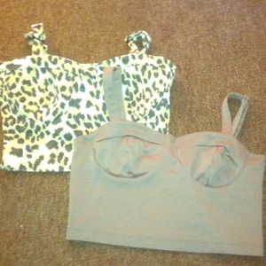 2 bustiers , animal print and and basic brown .