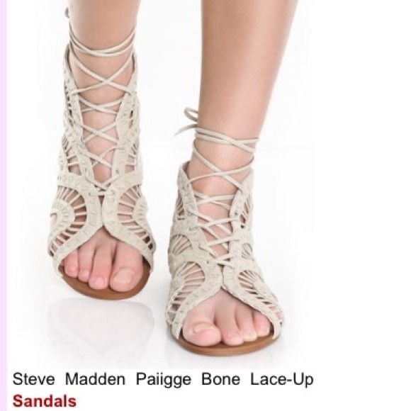 Steve Madden Paiigge Gladiator Sandals