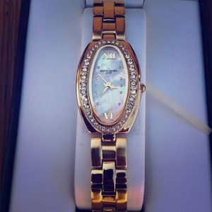 Pierre Cardin Swiss watch