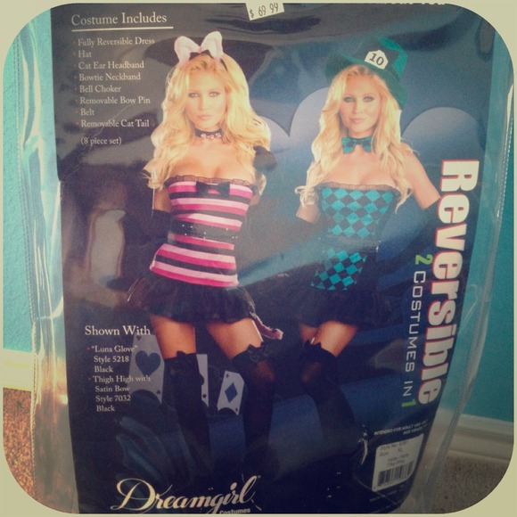 reversible outfit-super cute costume!