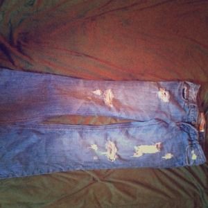 Hollister Cali flare head destroyed 😊