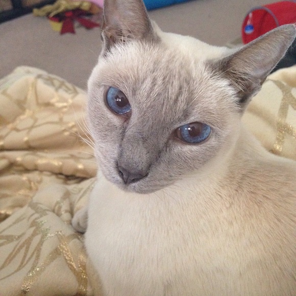 MEET YOUR SELLER! - Picture 3 of 3