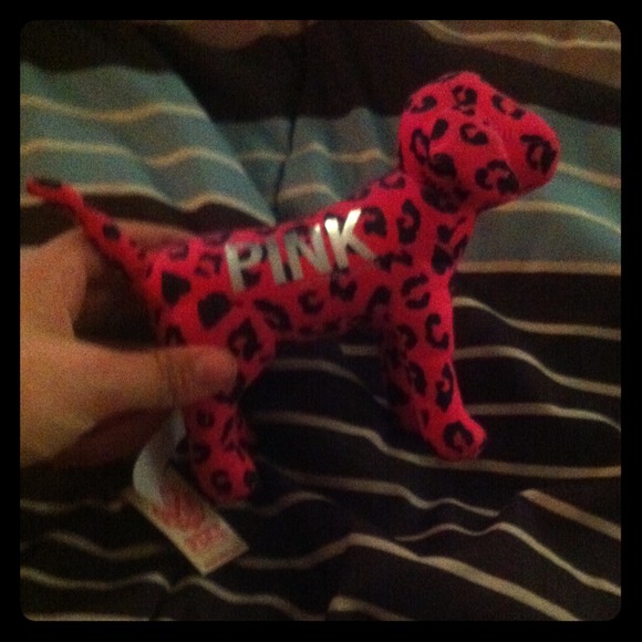 VS pinK dog