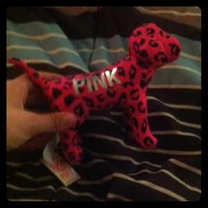 VS pinK dog