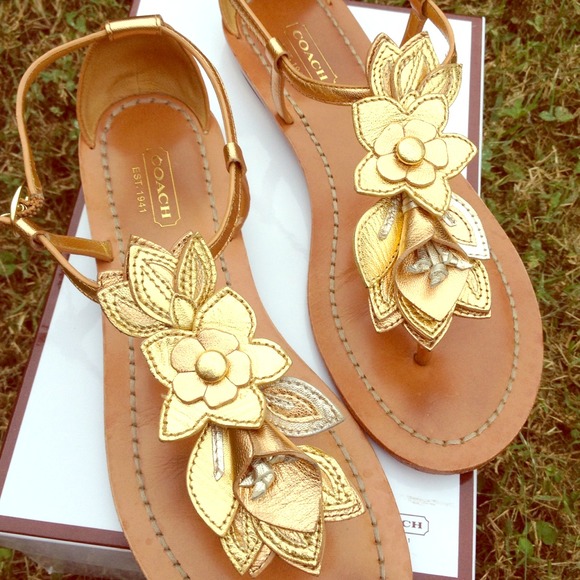 COACH leather thong sandal