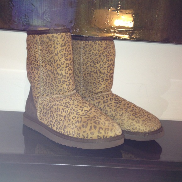 🚫BUNDLED🚫Leopard Print short classic UGGS