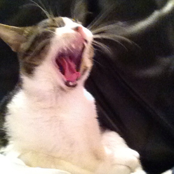 🚫SOLD 🚫⬇ - Picture 2 of 3