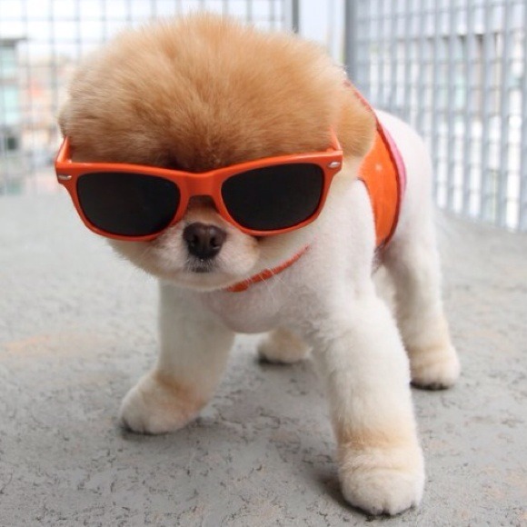 🚫SOLD 🚫⬇ - Picture 3 of 3