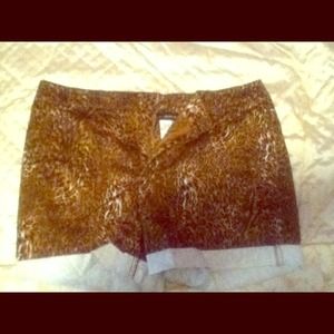 Cheetah print shorts!