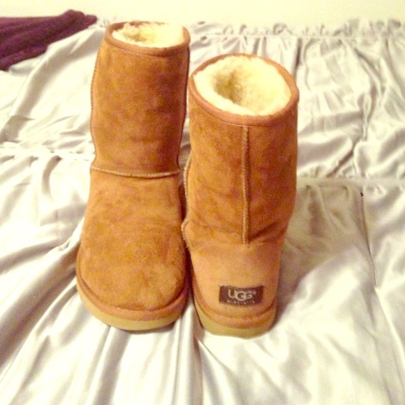 Short Chestnut UGG Boots