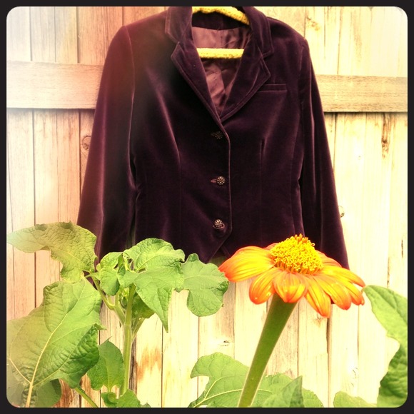 Velvet Vintage Purple Blazer!