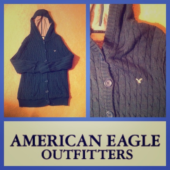 Teal American Eagle Hooded Sweater