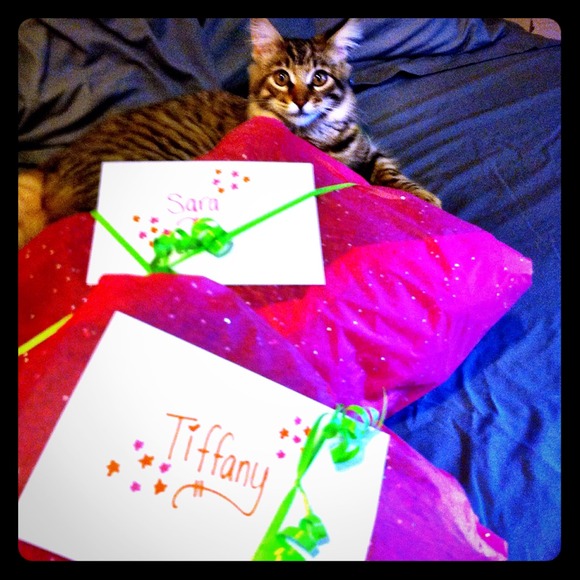 😸💕✨Kiki helping me wrap some packages✨💕😸