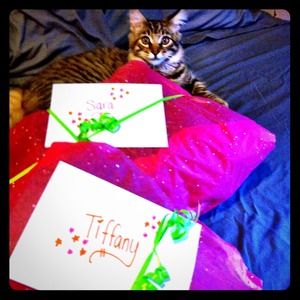 😸💕✨Kiki helping me wrap some packages✨💕😸