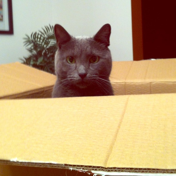 Woohoo 500 followers!