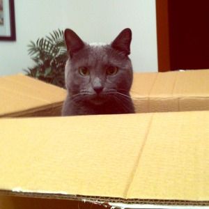 Woohoo 500 followers!