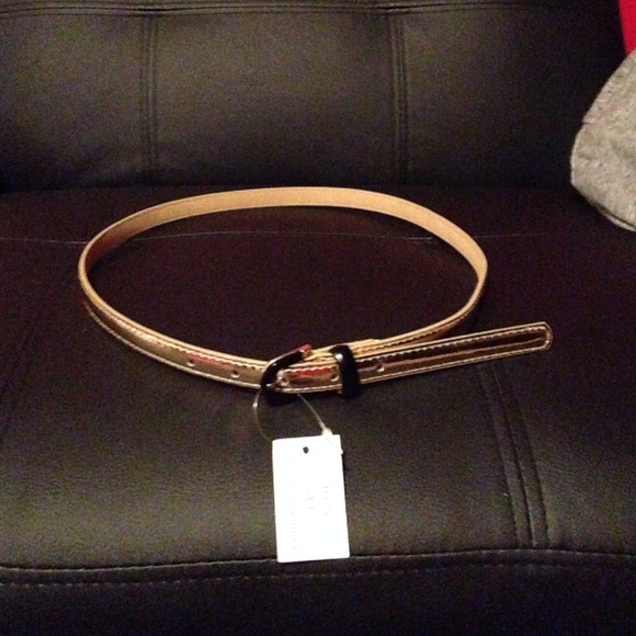 Gold and black belt