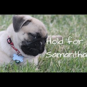 On hold for Samantha!