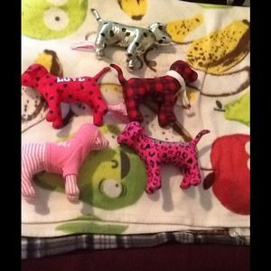 🐶🐶5 Victoria's Secret Dogs🐶🐶