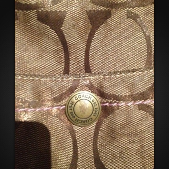 Coach Large Limited Edition Hobo (Pre-owned)