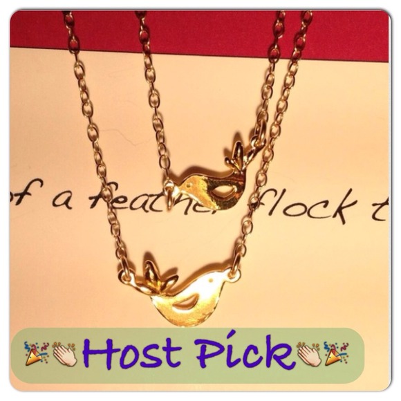 🎉Host Pick 11/8🎉 Georjana friendship necklaces